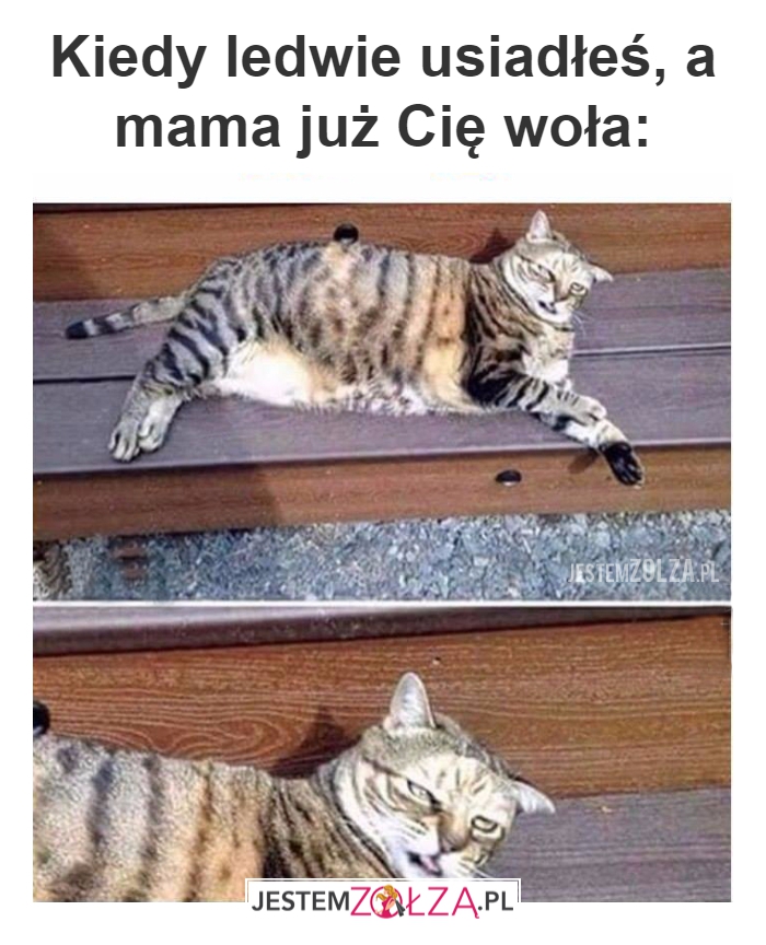 Kiedy ledwie usiadłeś...