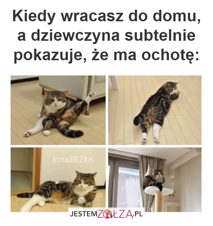 Kiedy wracasz do domu...