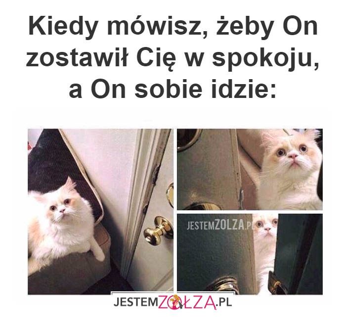 Kiedy mówisz, żeby...