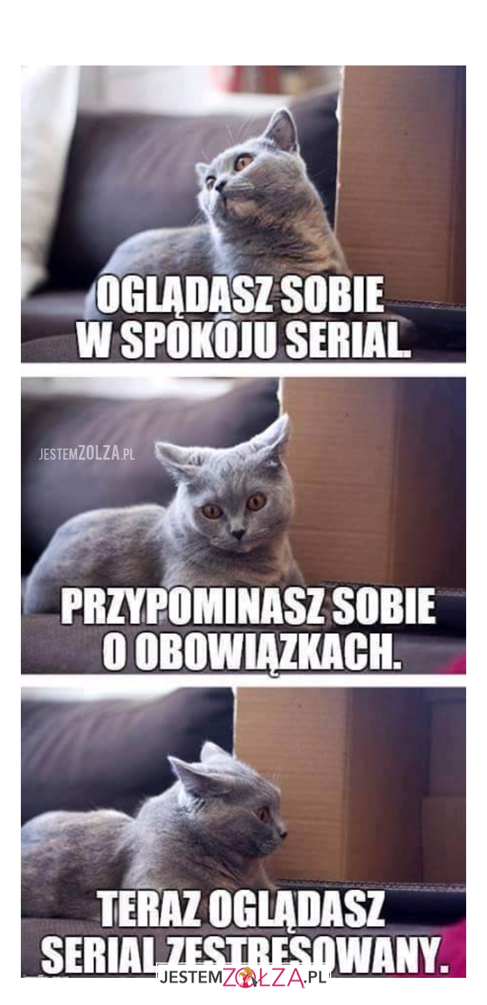 Oglądasz sobie...