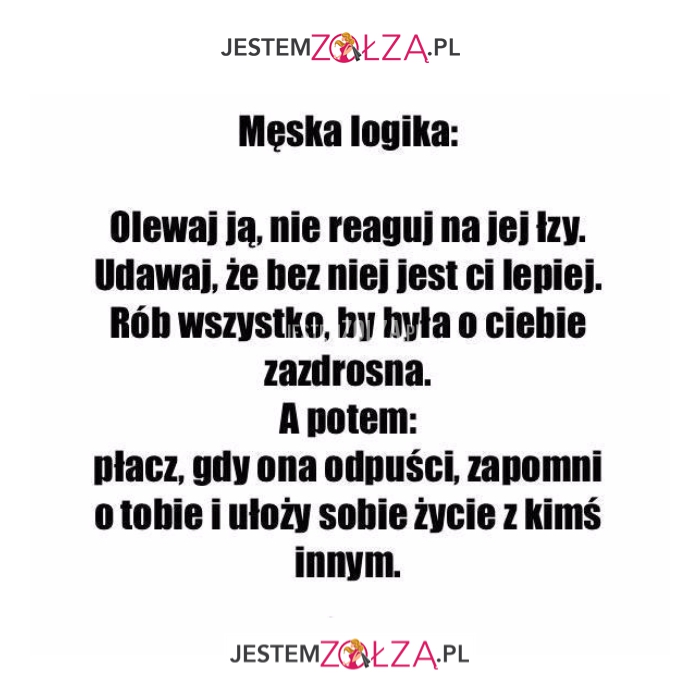 Męska logika...