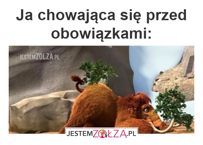 Obowiązki