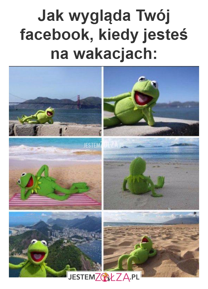 Jak wygląda Twój...