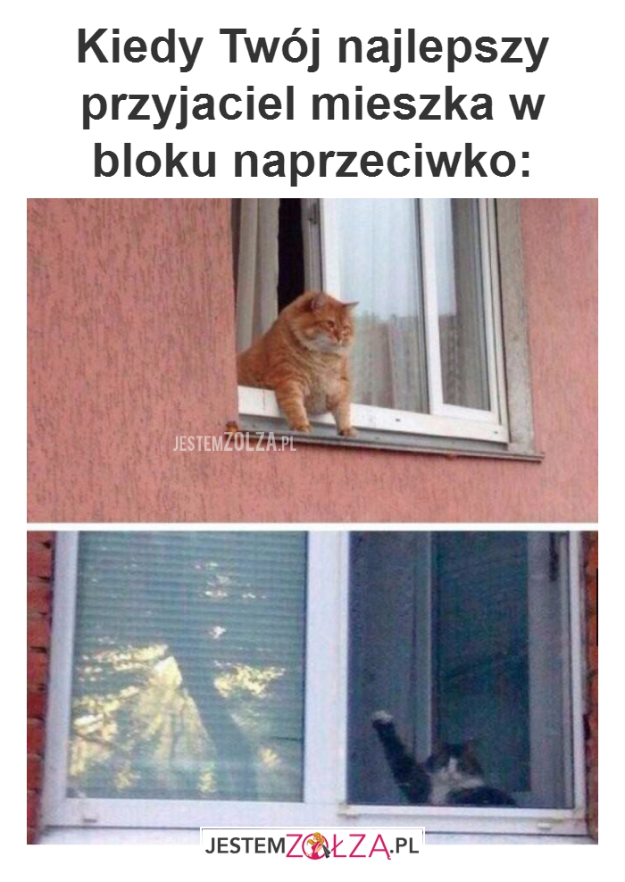Kiedy Twój najlepszy...