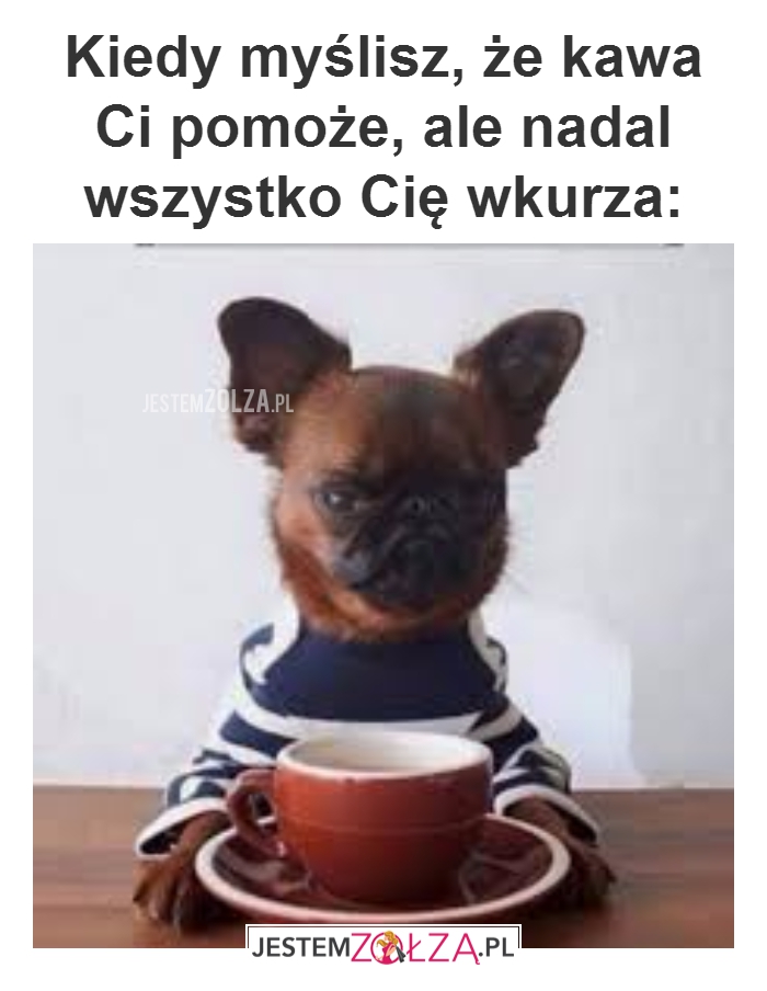 Kiedy myślisz...