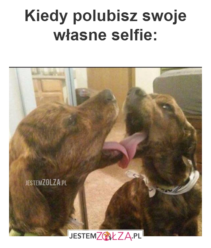 Kiedy polubisz swoje...