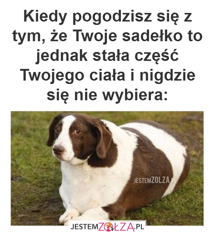 Kiedy pogodzisz się...