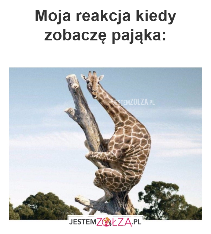 Moja reakcja kiedy...
