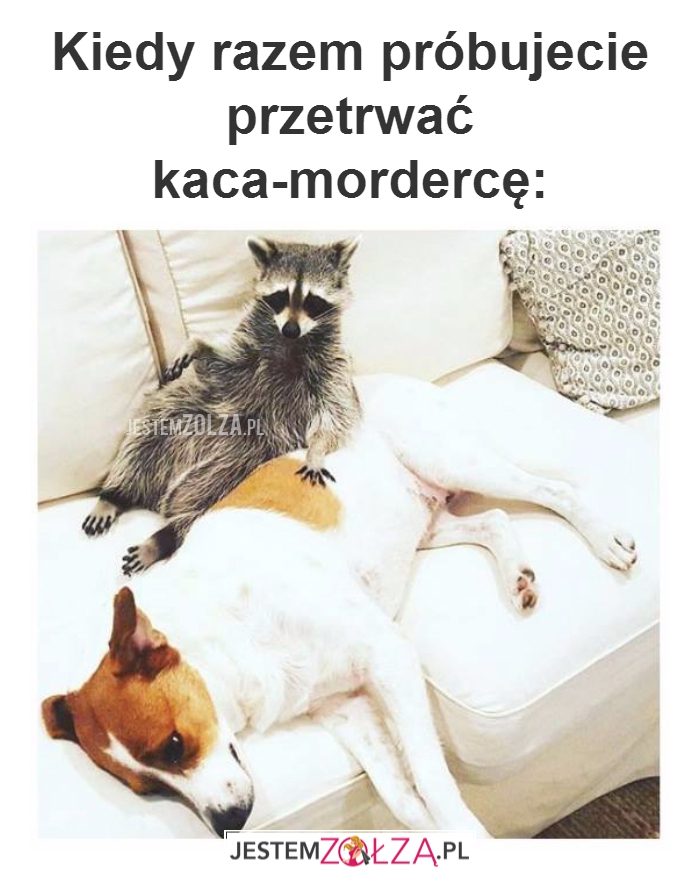 Kiedy razem próbujecie...