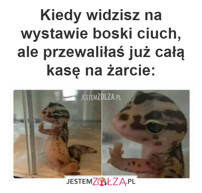 Kiedy widzisz na...