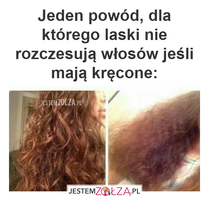 Jeden powód, dla...