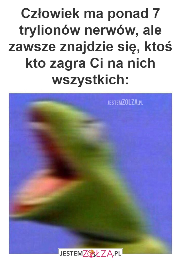 Człowiek ma...