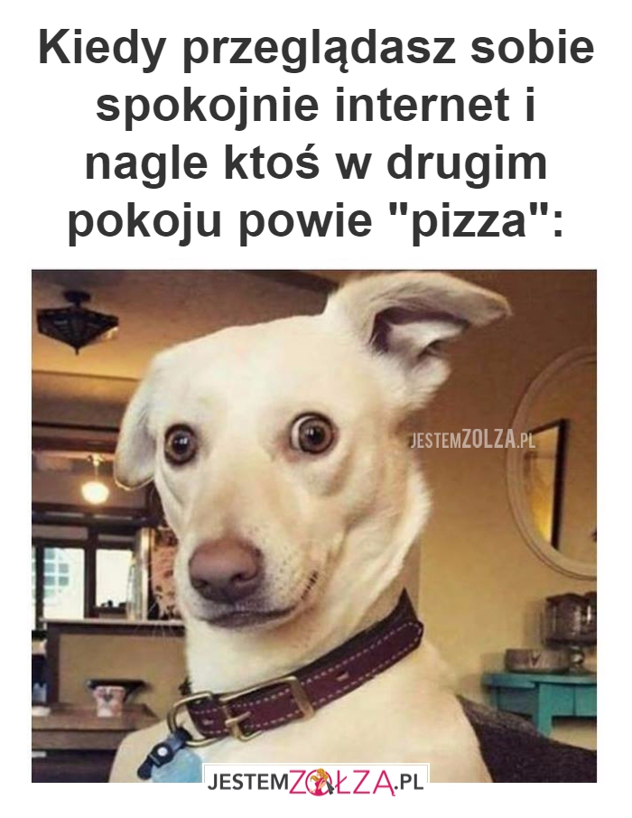 Kiedy przeglądasz sobie...