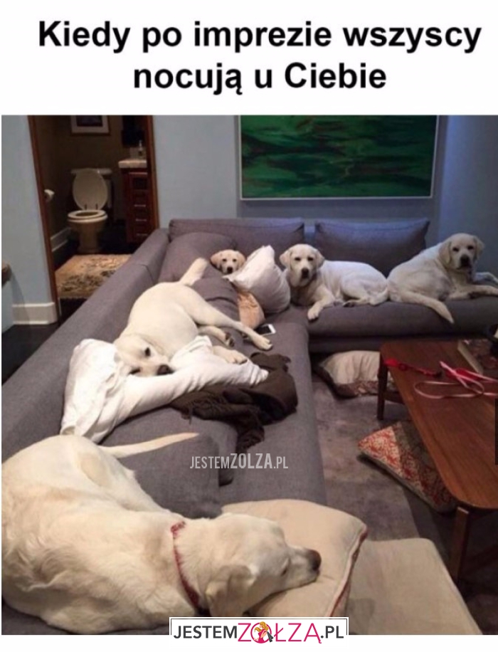 Po imprezie wszyscy...