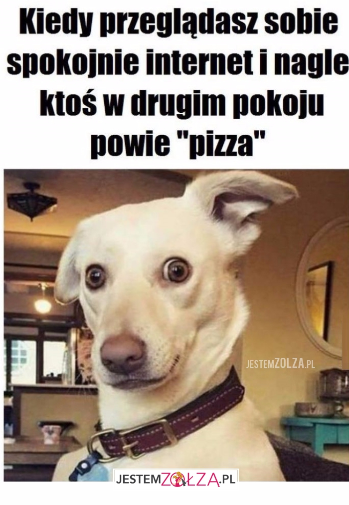 Przeglądasz sobie internet...
