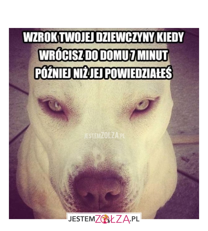Wzrok Twojej