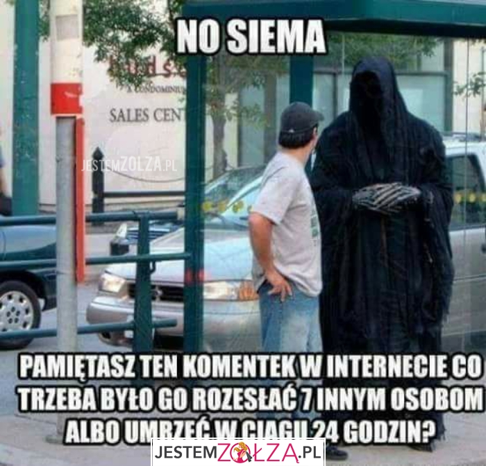 No siema
