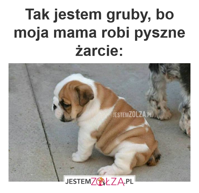 Tak jestem gruby