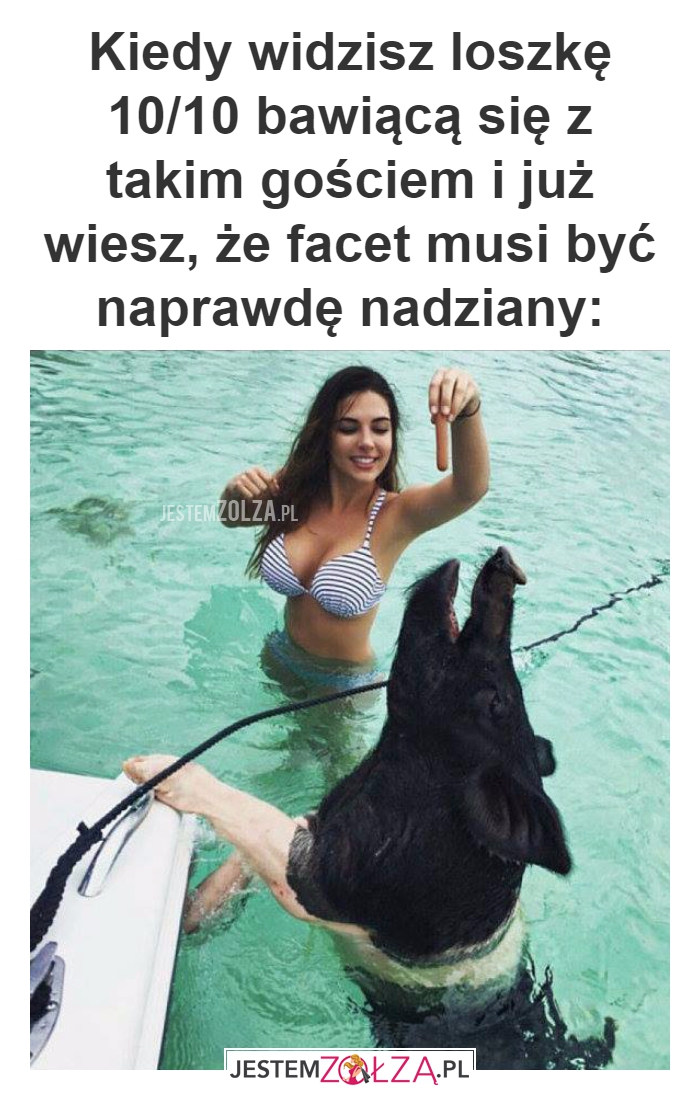Kiedy widzisz loszkę 