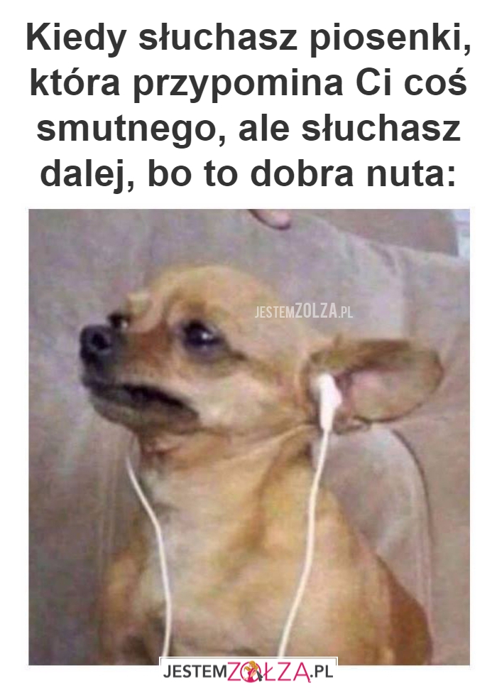 Kiedy słuchasz piosenki