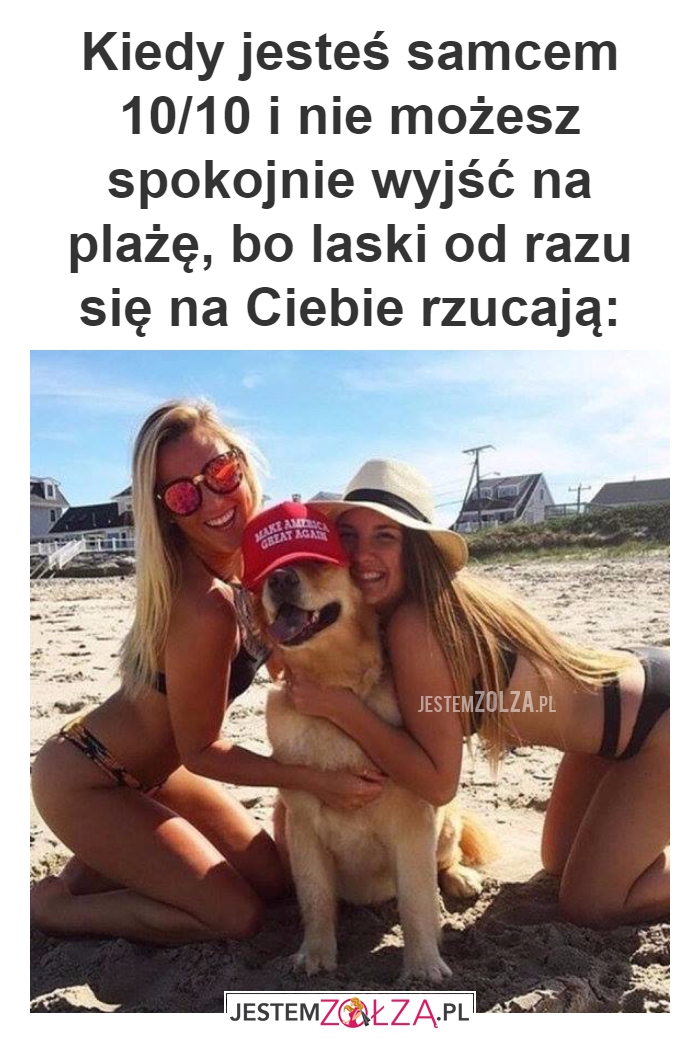 Kiedy jesteś samcem 10/10