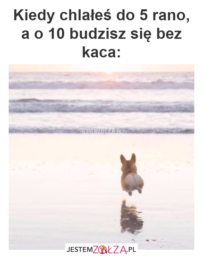 Kiedy chlałeś do 5 rano