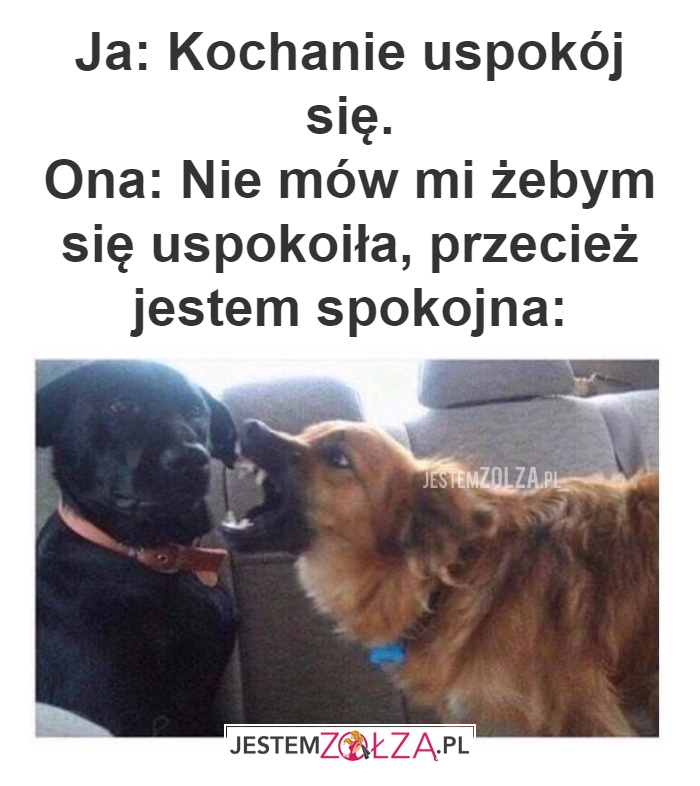 Ja: Kochanie uspokój się