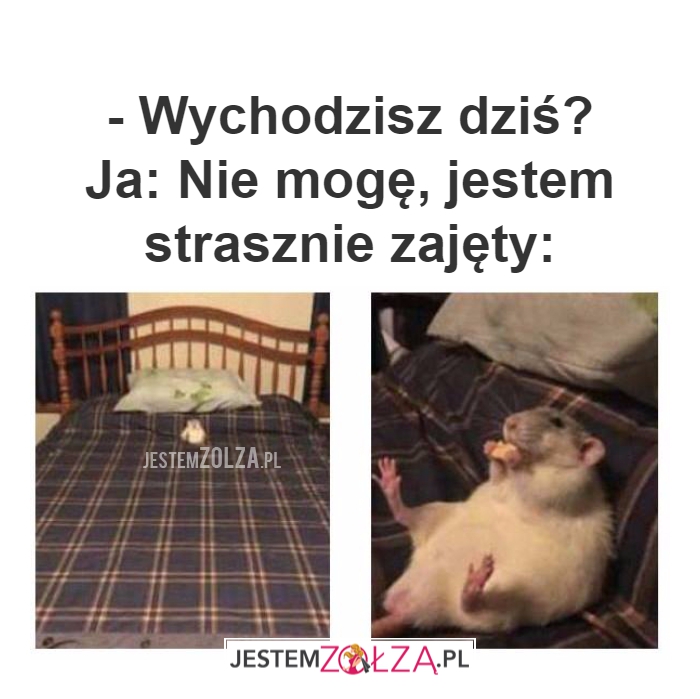 - Wychodzisz dziś?