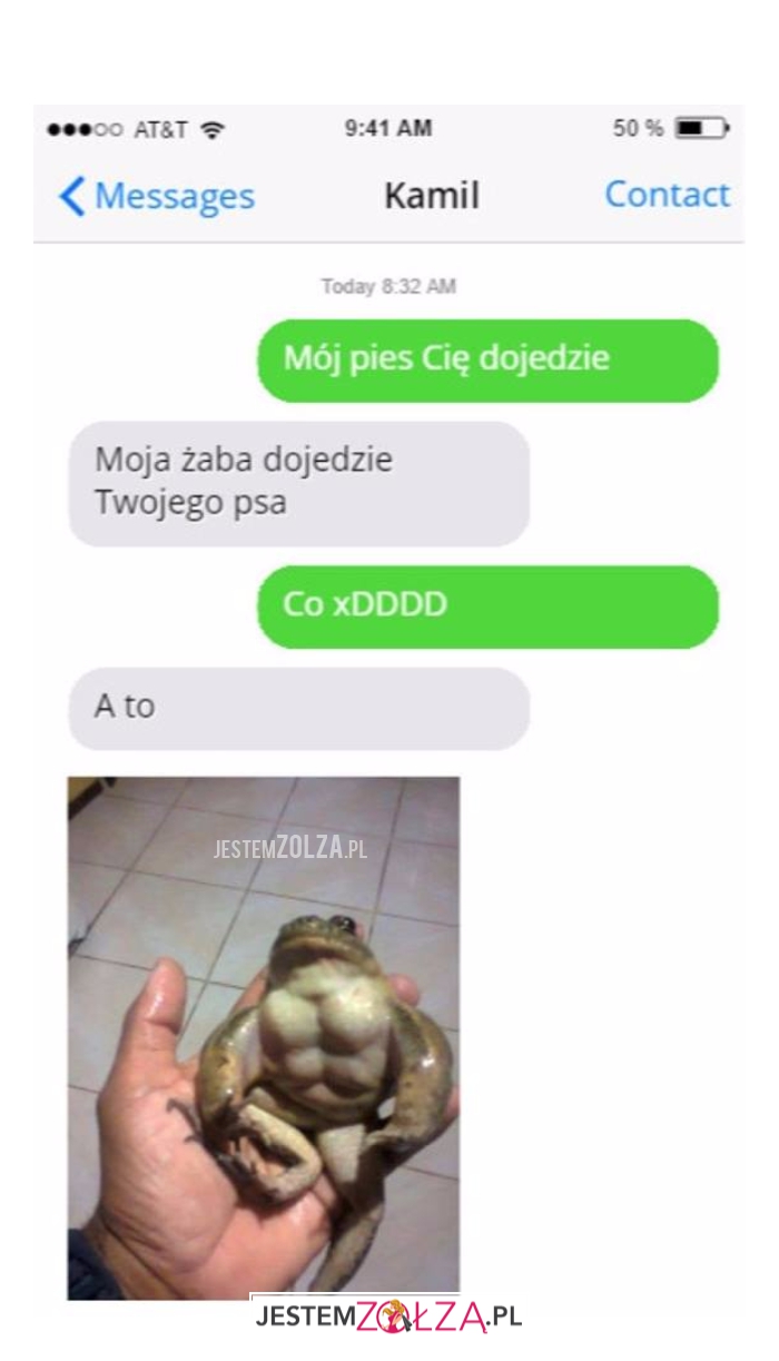 Mój pies