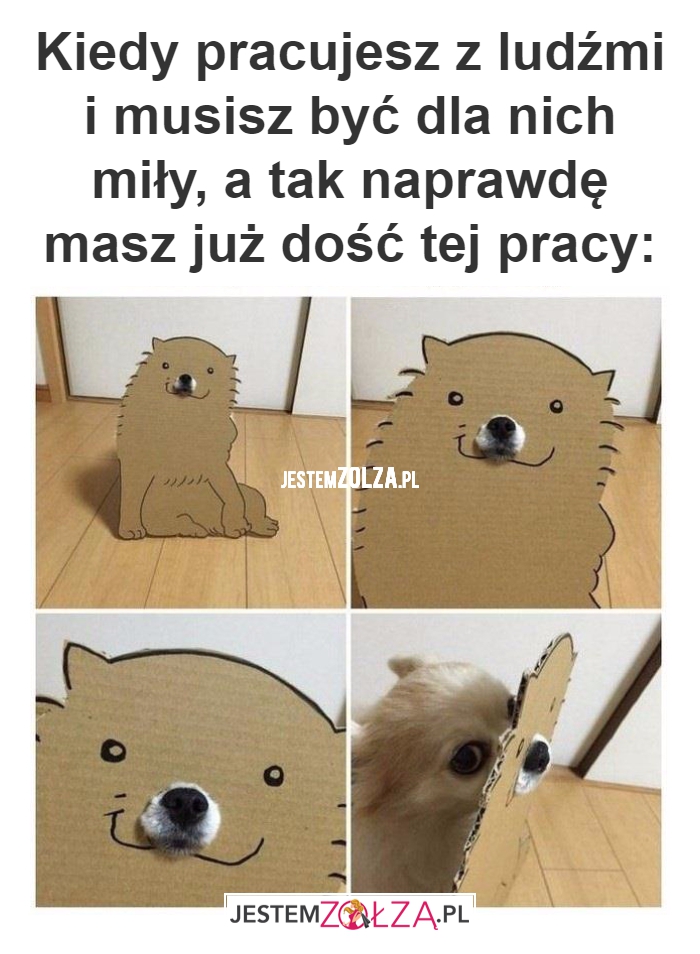 Kiedy pracujesz 
