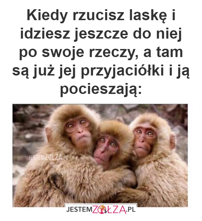 Kiedy rzucisz laskę 