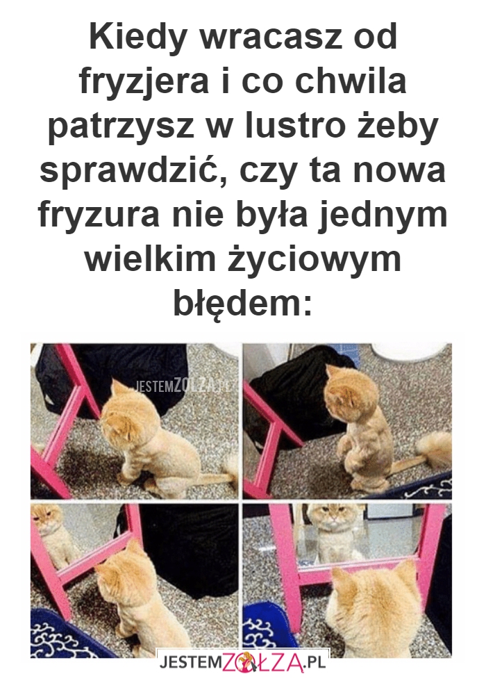 Kiedy wracasz od fryzjera