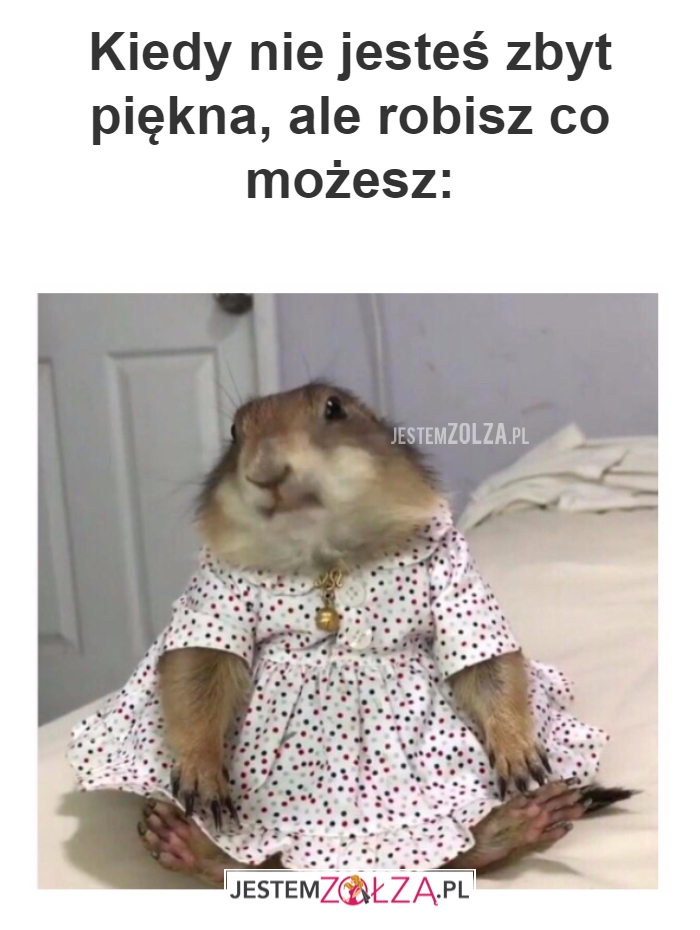 Kiedy nie jesteś zbyt 