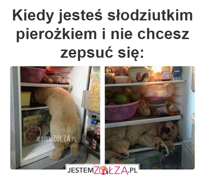 Kiedy jesteś słodziutkim 