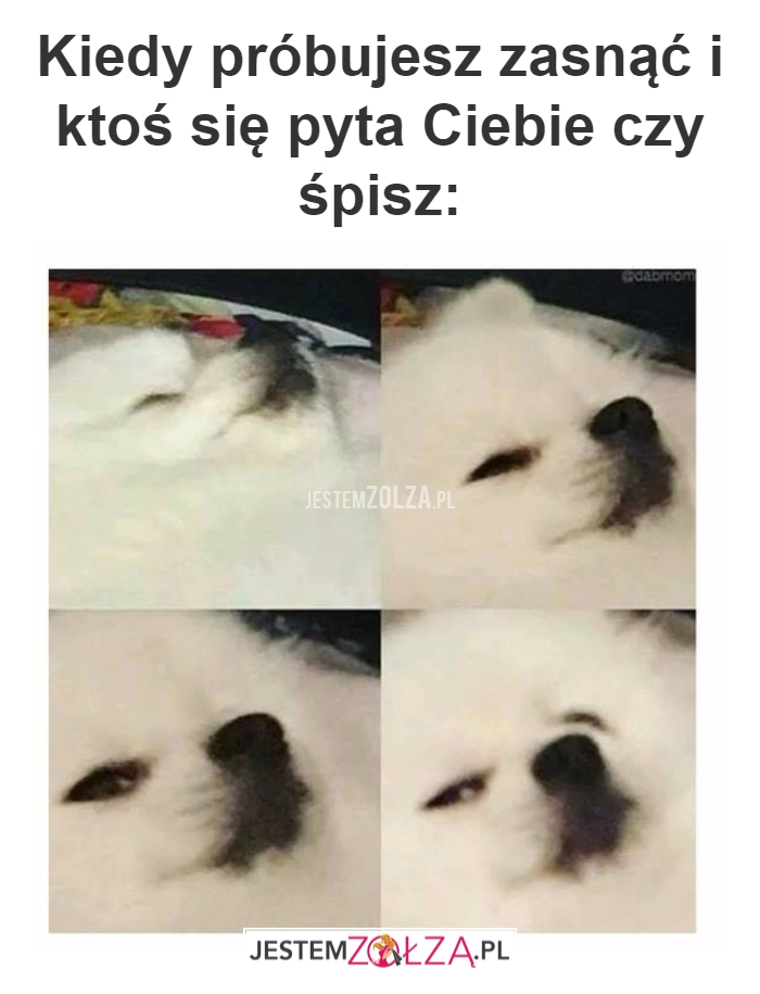 Kiedy próbujesz zasnąć