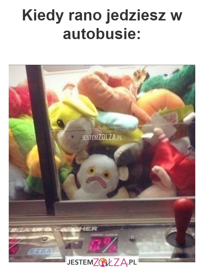 Kiedy rano jedziesz w autobusie