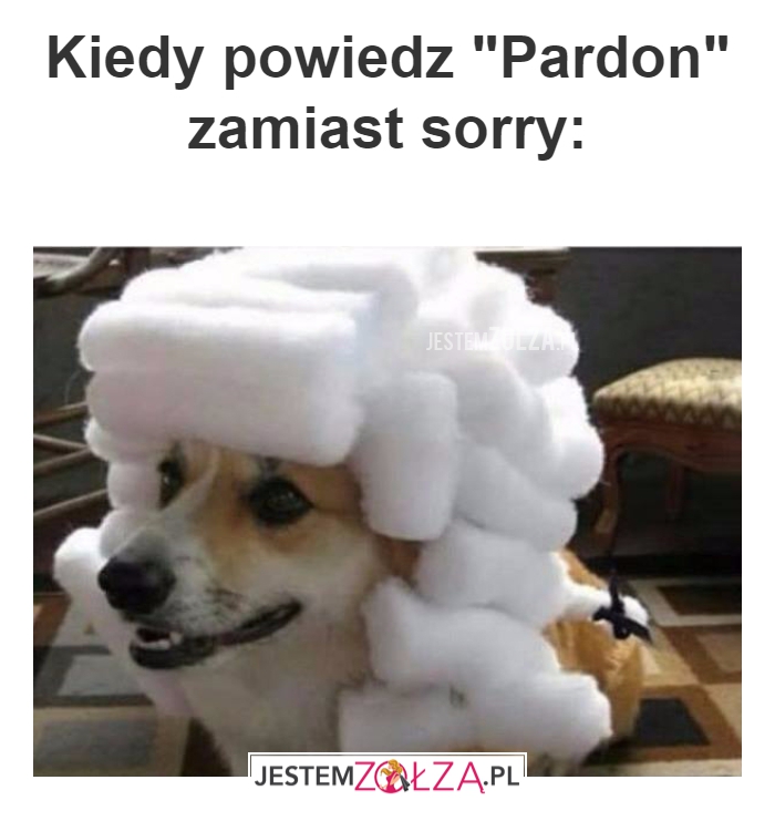 Kiedy powiedz 