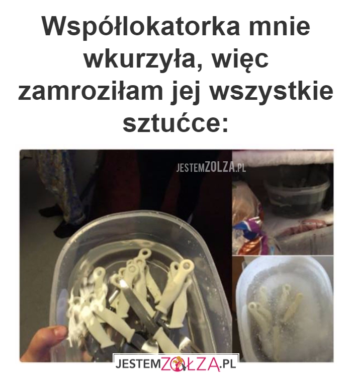Współlokatorka mnie wkurzyła