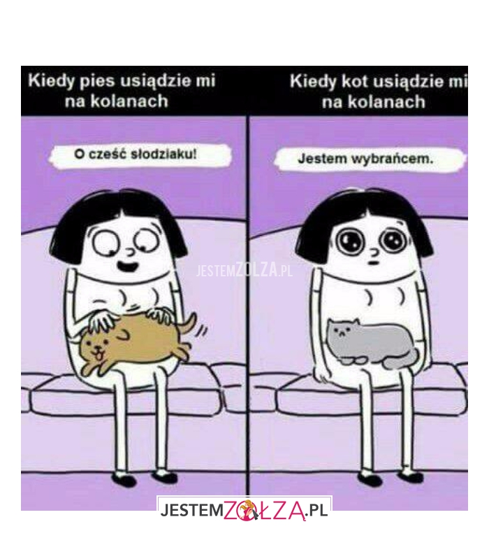 Kiedy pies/kot usiądzie