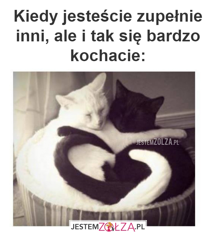 Kiedy jesteście zupełnie inni