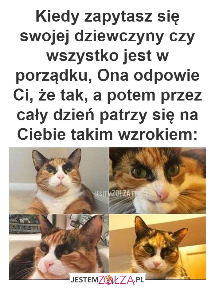 Kiedy zapytasz się