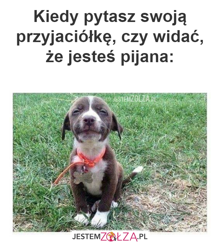 Kiedy pytasz swoją