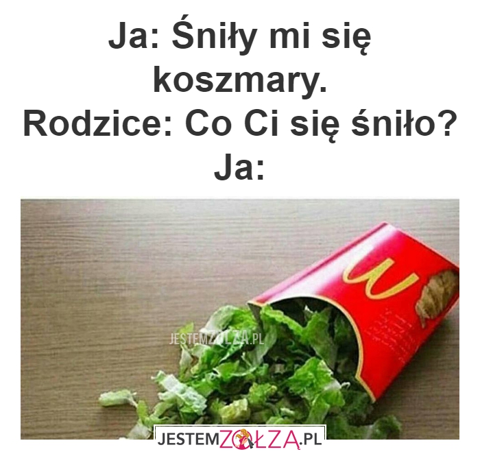 Ja: Śniły mi się koszmary