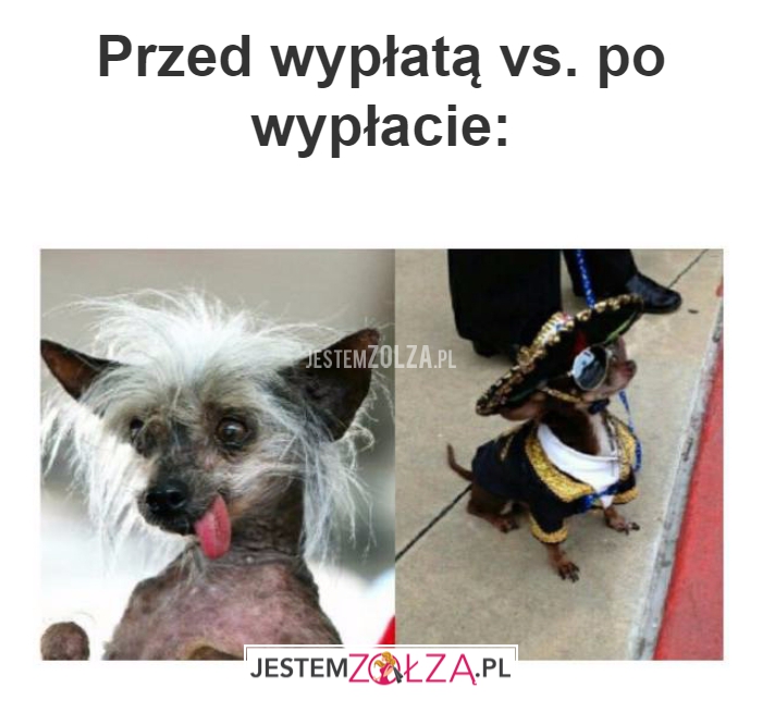 Przed wypłatą vs. po wypłacie: