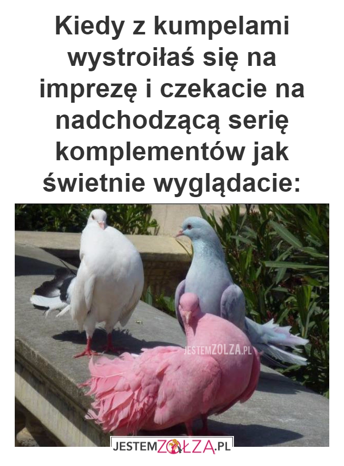 Kiedy z kumpelami wystroiłaś się