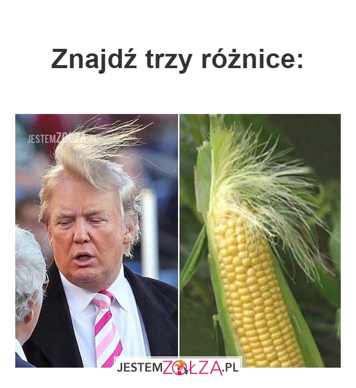 Znajdź trzy różnice: