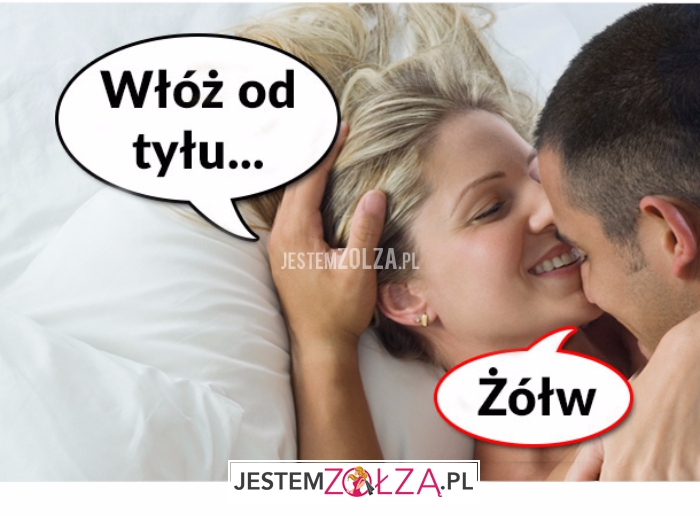 włóż