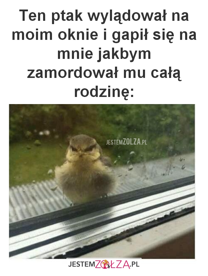 Ten ptak wylądował 