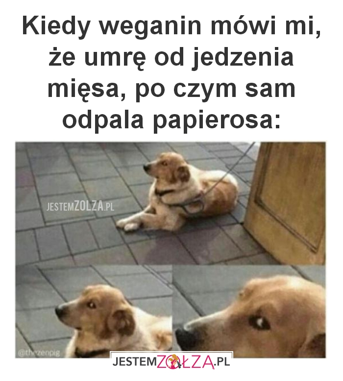 Kiedy weganin mówi