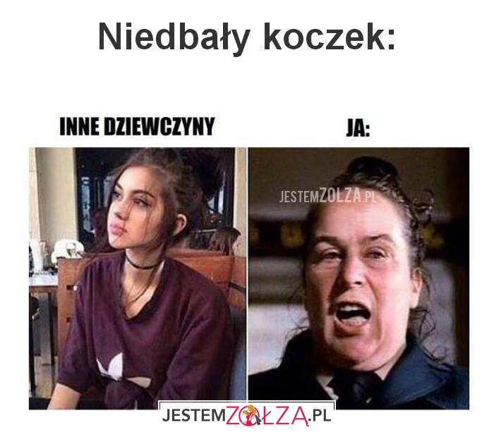 niedbały koczek: